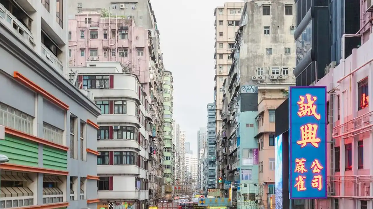 走绳三角木马绳子绳结图片怎么看与打法